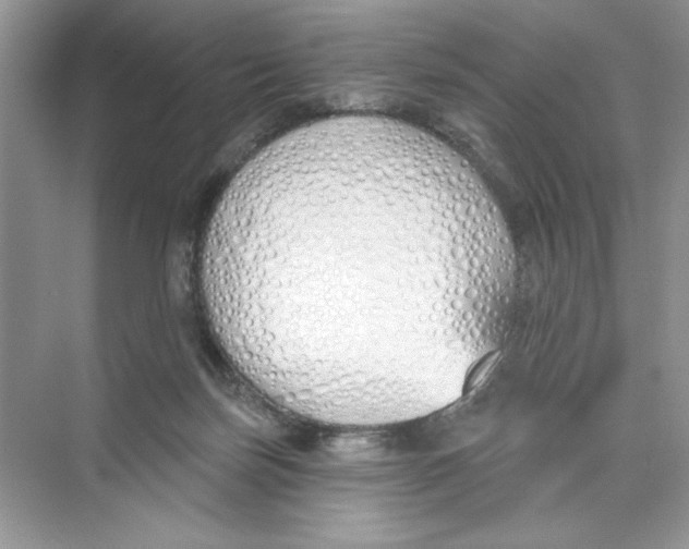 X0000074320171200609230036