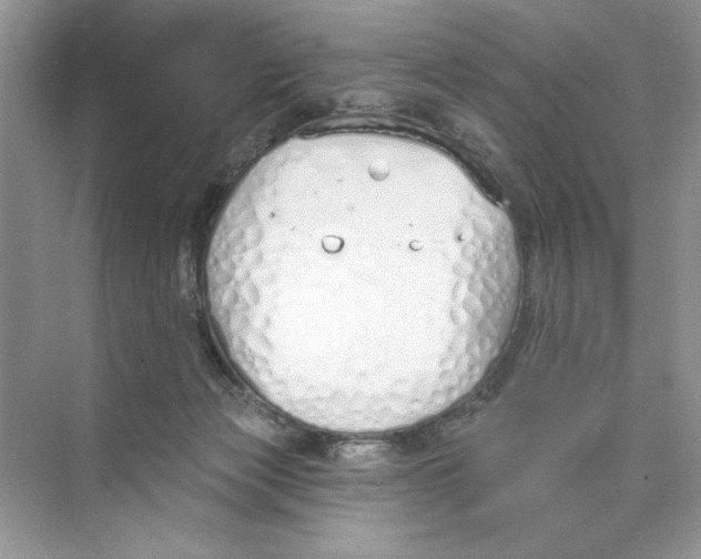 X0000074320173200609230036