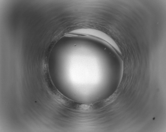 X0000074320176200609230036