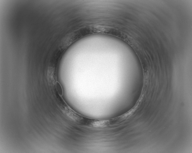 X0000074320178200609230036