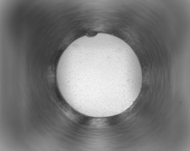 X0000074320179200609230036