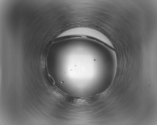 X0000074320180200609230036