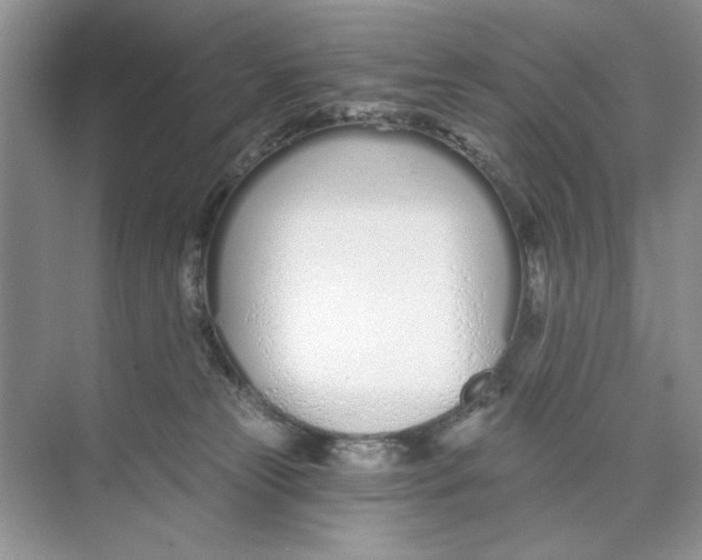 X0000074320181200609230036