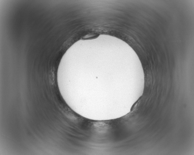 X0000074320183200609230036