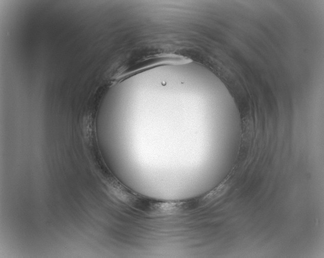 X0000074320184200609230036