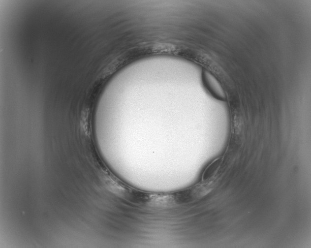 X0000074320185200609230036