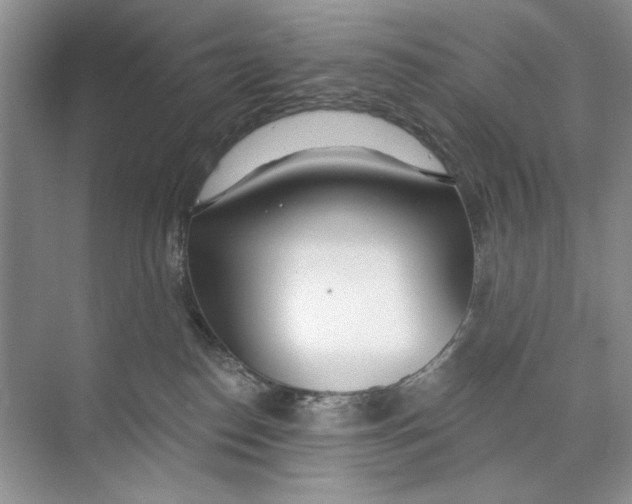 X0000074320186200609230036