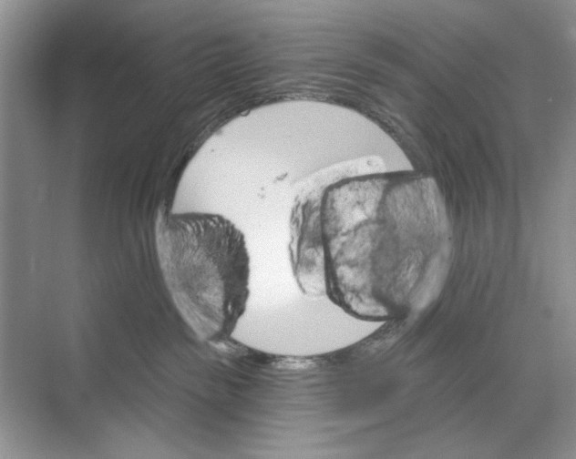 X0000074320189200609230036