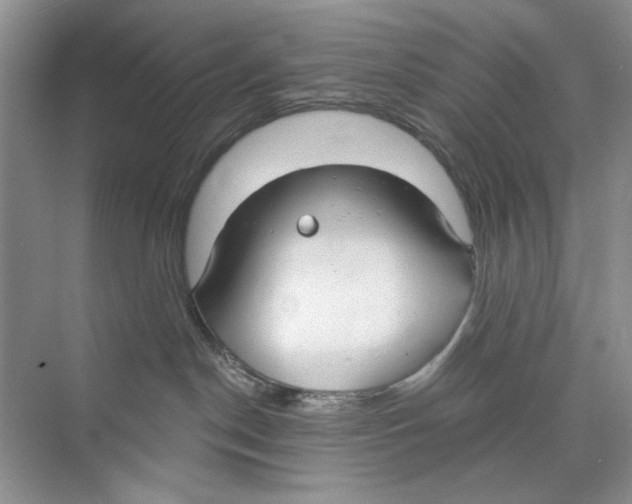 X0000074320190200609230036