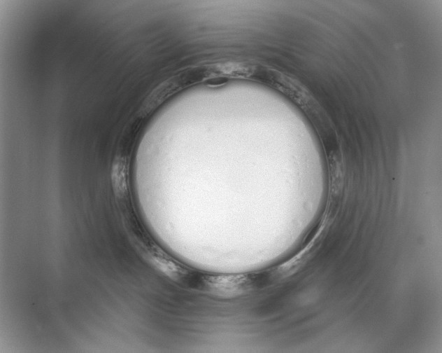 X0000074320191200609230036