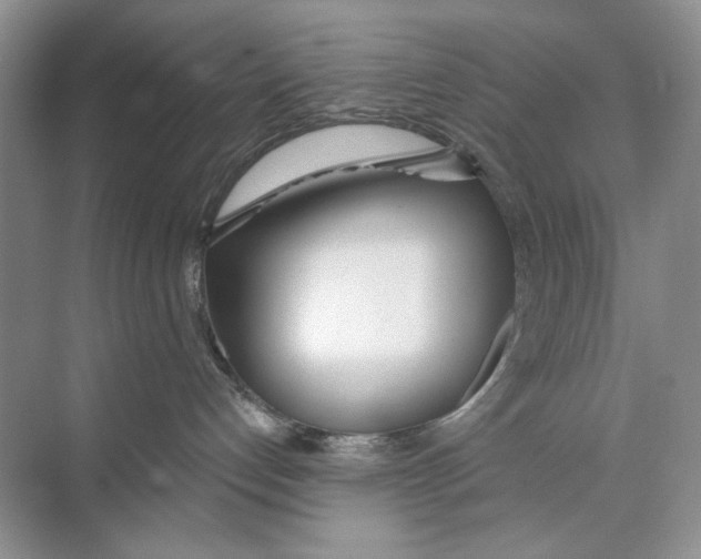 X0000074320192200609230036