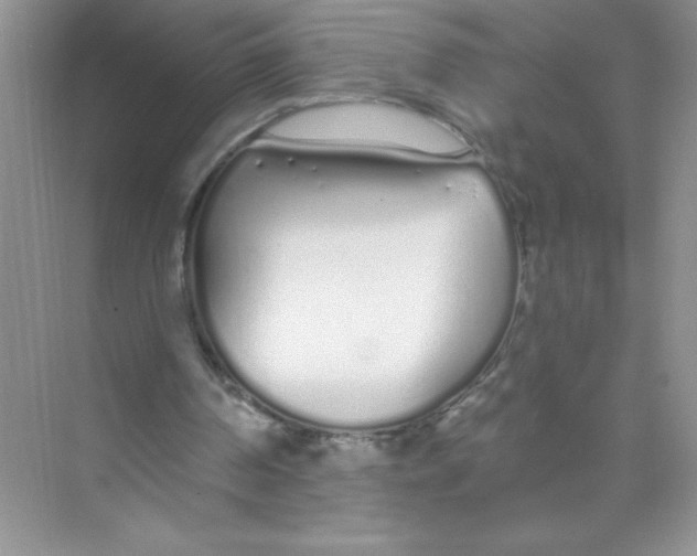 X0000074320194200609230035