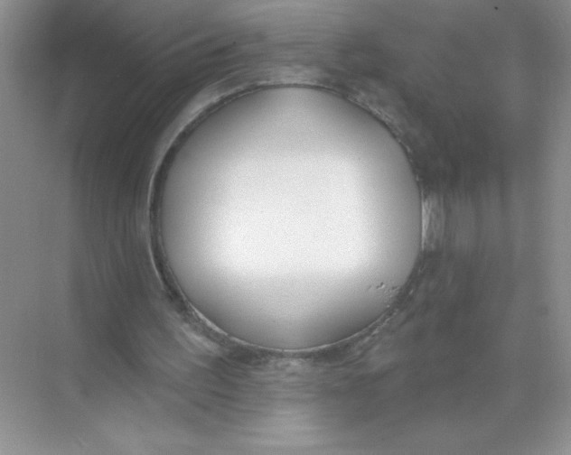 X0000074320195200609230035