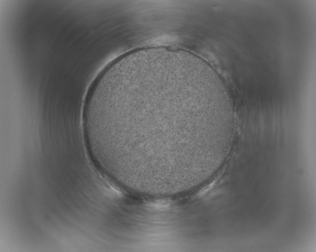 X0000074320196200609230035