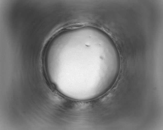 X0000074320198200609230035