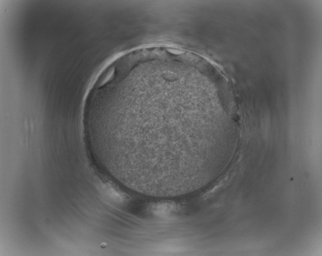 X0000074320200200609230035