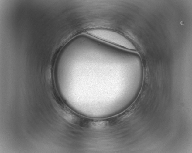 X0000074320202200609230035