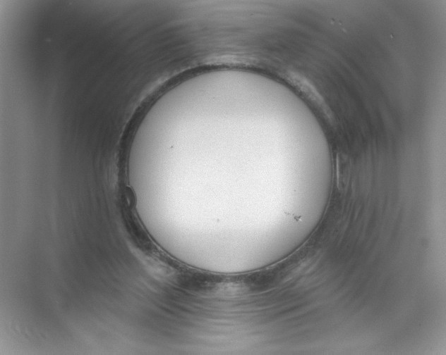 X0000074320204200609230035