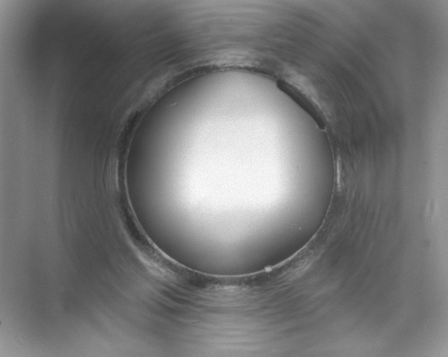 X0000074320205200609230035