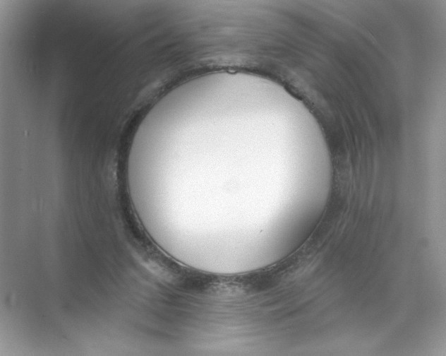 X0000074320207200609230035