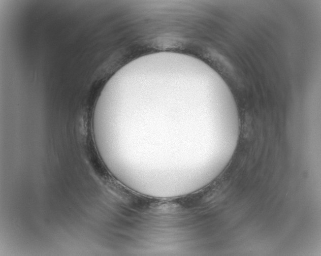 X0000074320210200609230035