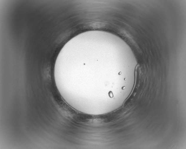 X0000074320212200609230035