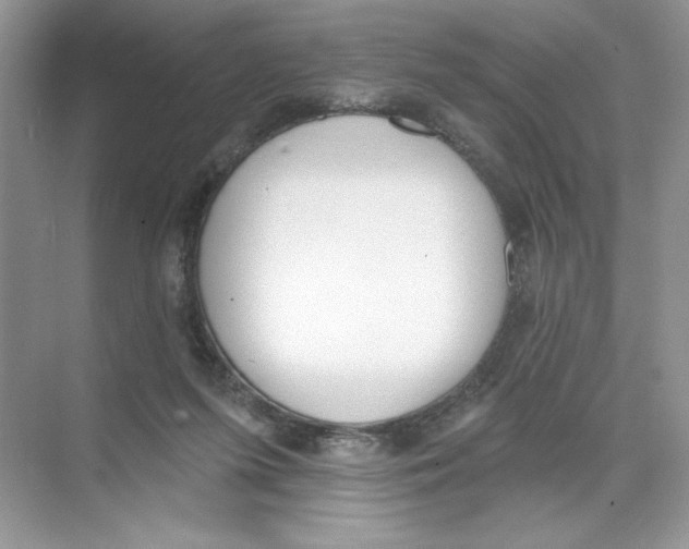 X0000074320215200609230035