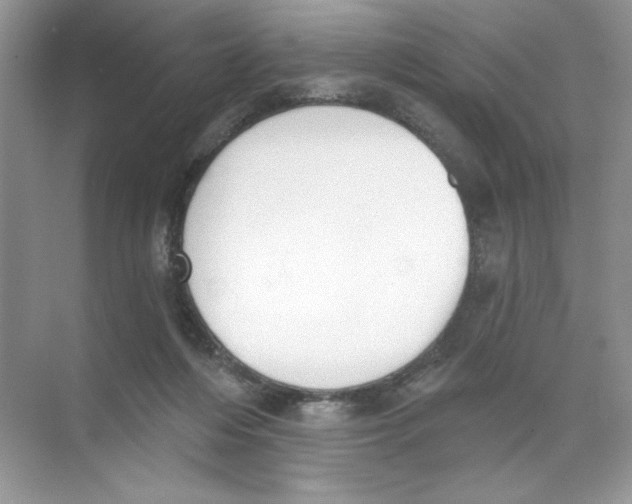 X0000074320216200609230035