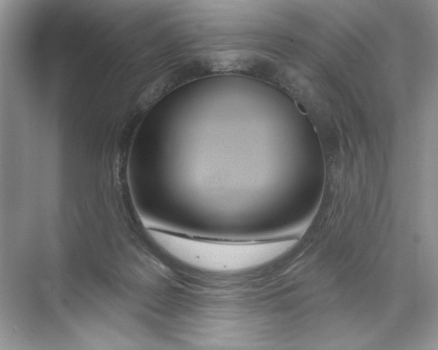 X0000074320219200609230035