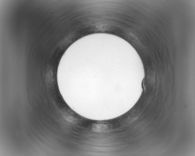 X0000074320220200609230035