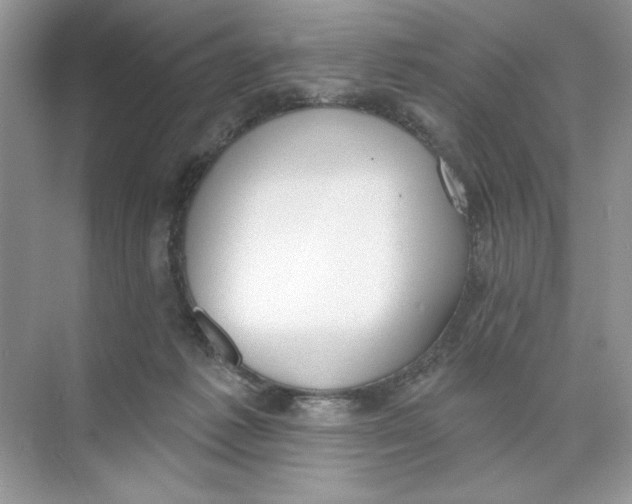 X0000074320221200609230035