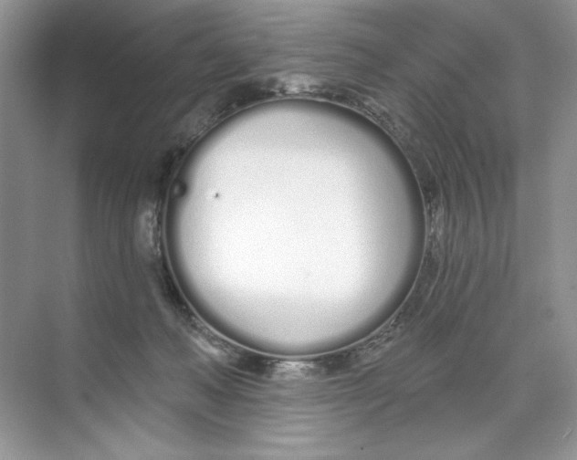 X0000074320222200609230035