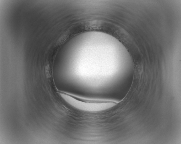 X0000074320224200609230035