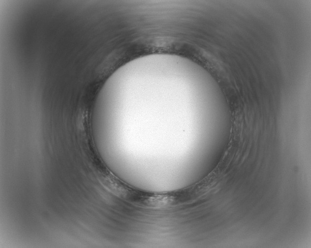 X0000074320225200609230035