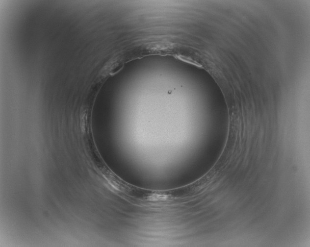 X0000074320227200609230035