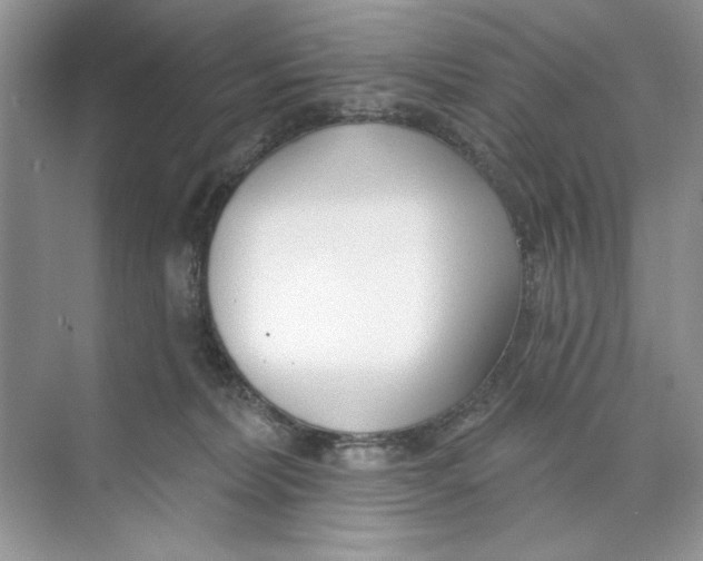 X0000074320228200609230035