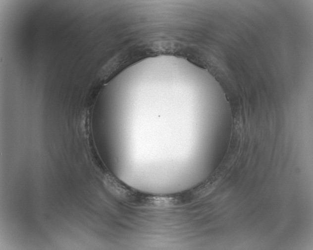 X0000074320233200609230035