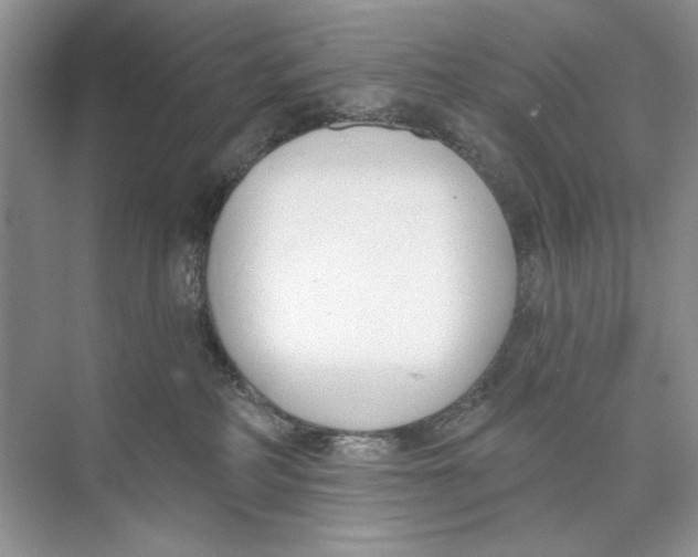 X0000074320234200609230034