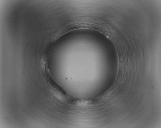 X0000074320235200609230034