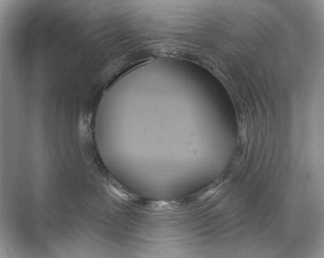 X0000074320239200609230034