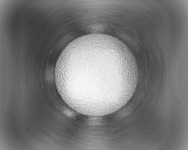 X0000074320240200609230034