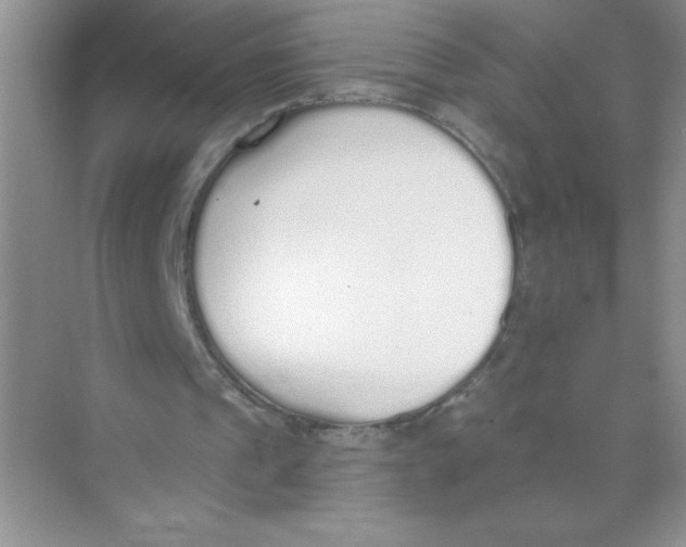 X0000074320241200609230034