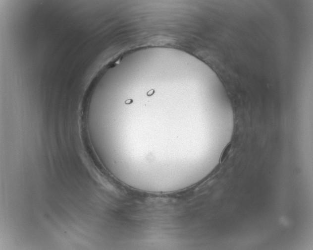 X0000074320242200609230034