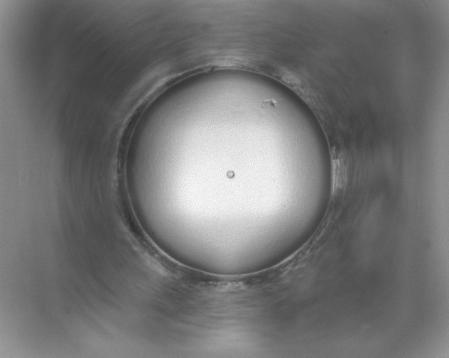 X0000074320243200609230034