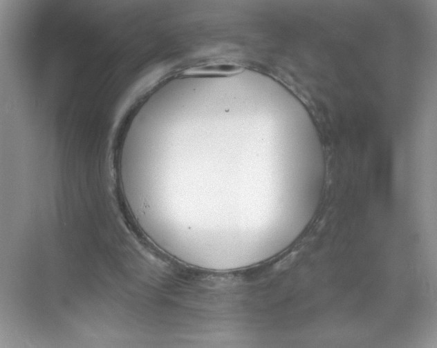 X0000074320245200609230034