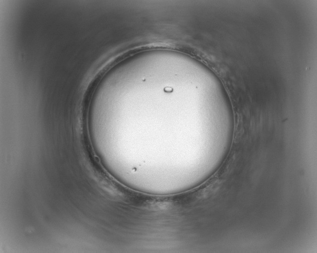 X0000074320247200609230034