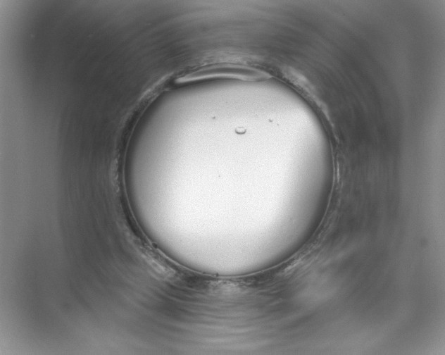 X0000074320249200609230034