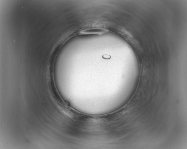 X0000074320250200609230034