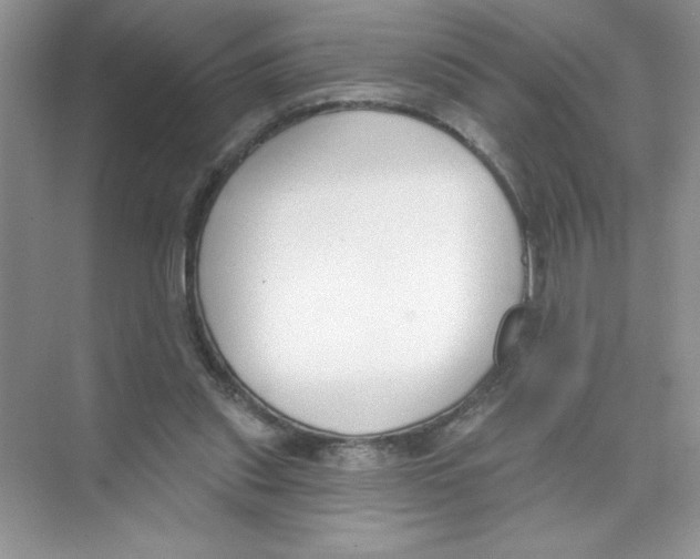 X0000074320253200609230034