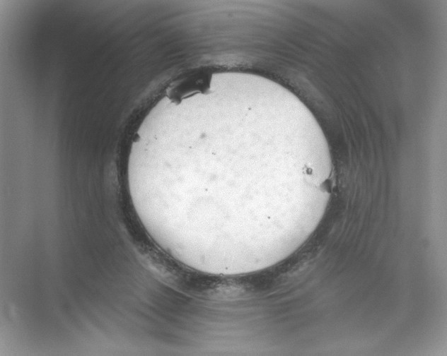 X0000074320256200609230034